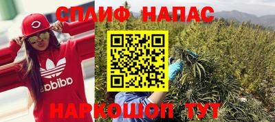 гашик Гусев