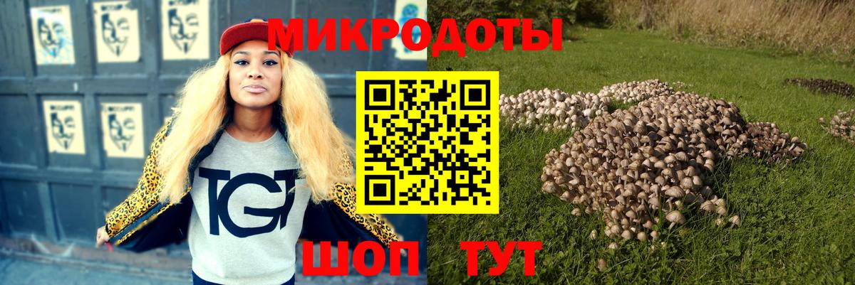 Галлюциногенные грибы прущие грибы  Вход с VPN  Чайковский  Псилоцибиновые грибы Psilocybine cubensis 