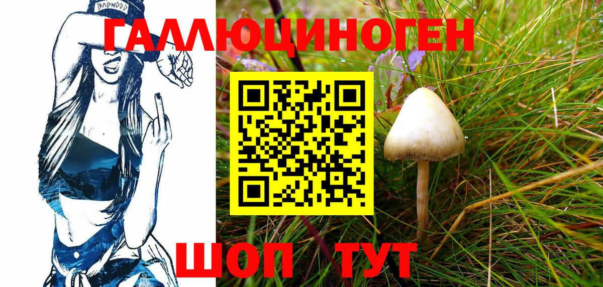 Псилоцибиновые грибы мицелий Чайковский