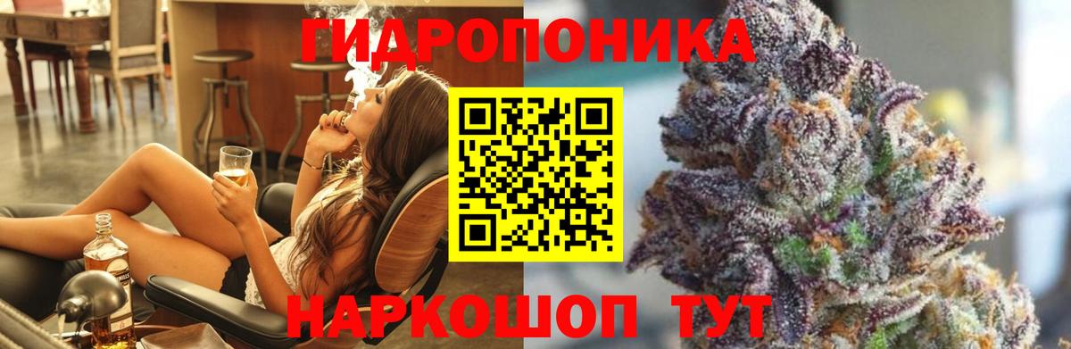 Конопля гибрид Чайковский